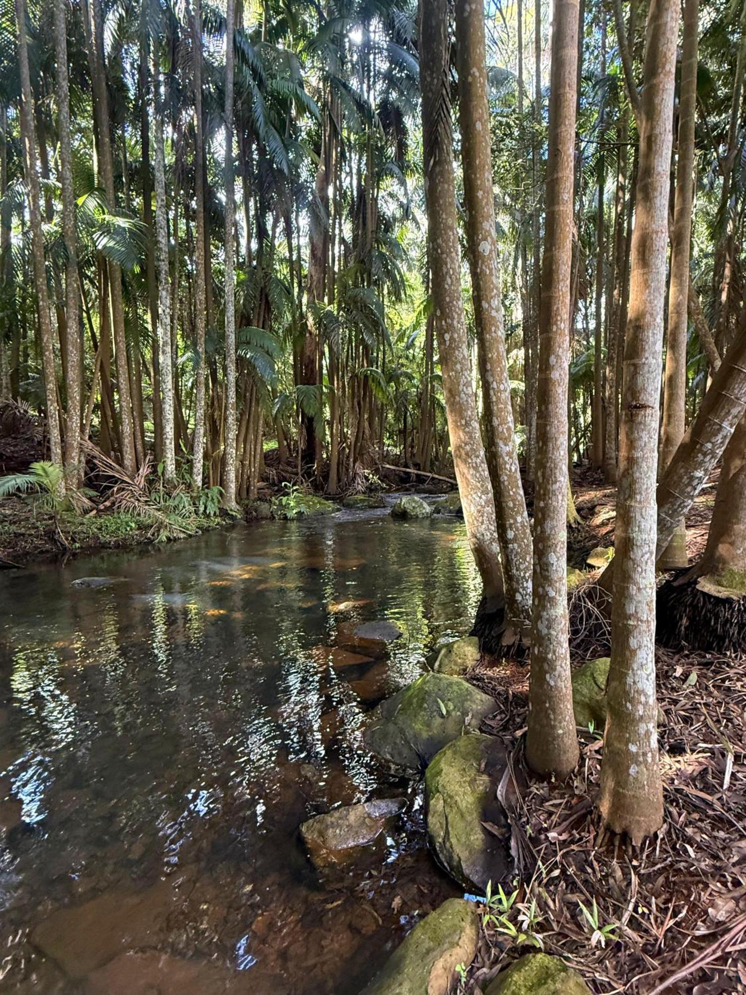Hotel Mt Tamborine Stonehaven Manor Gold Coast Esterno foto