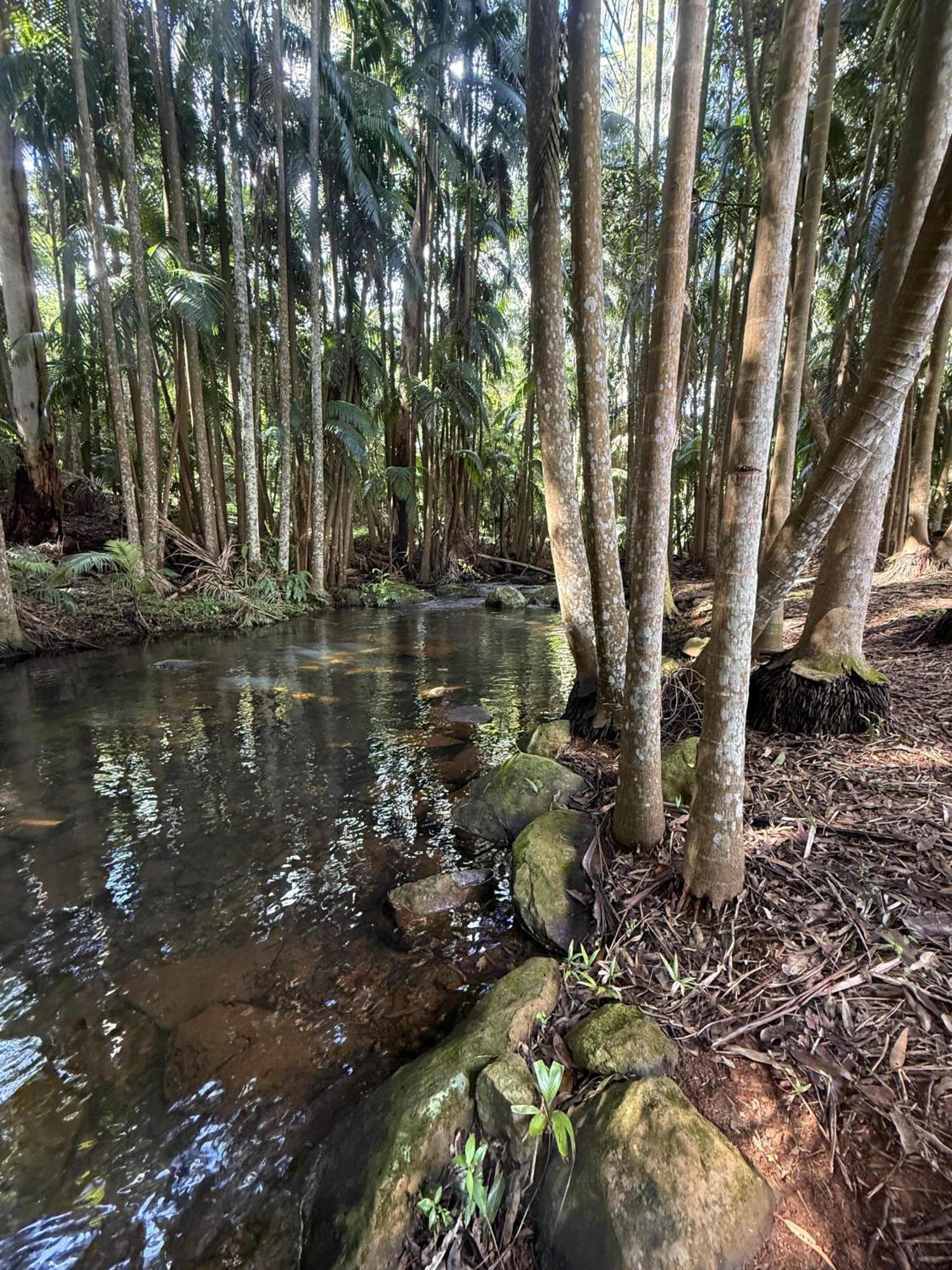 Hotel Mt Tamborine Stonehaven Manor Gold Coast Esterno foto